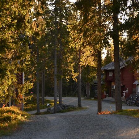 Wilderness Hotel Papin Talo รูกา ภายนอก รูปภาพ