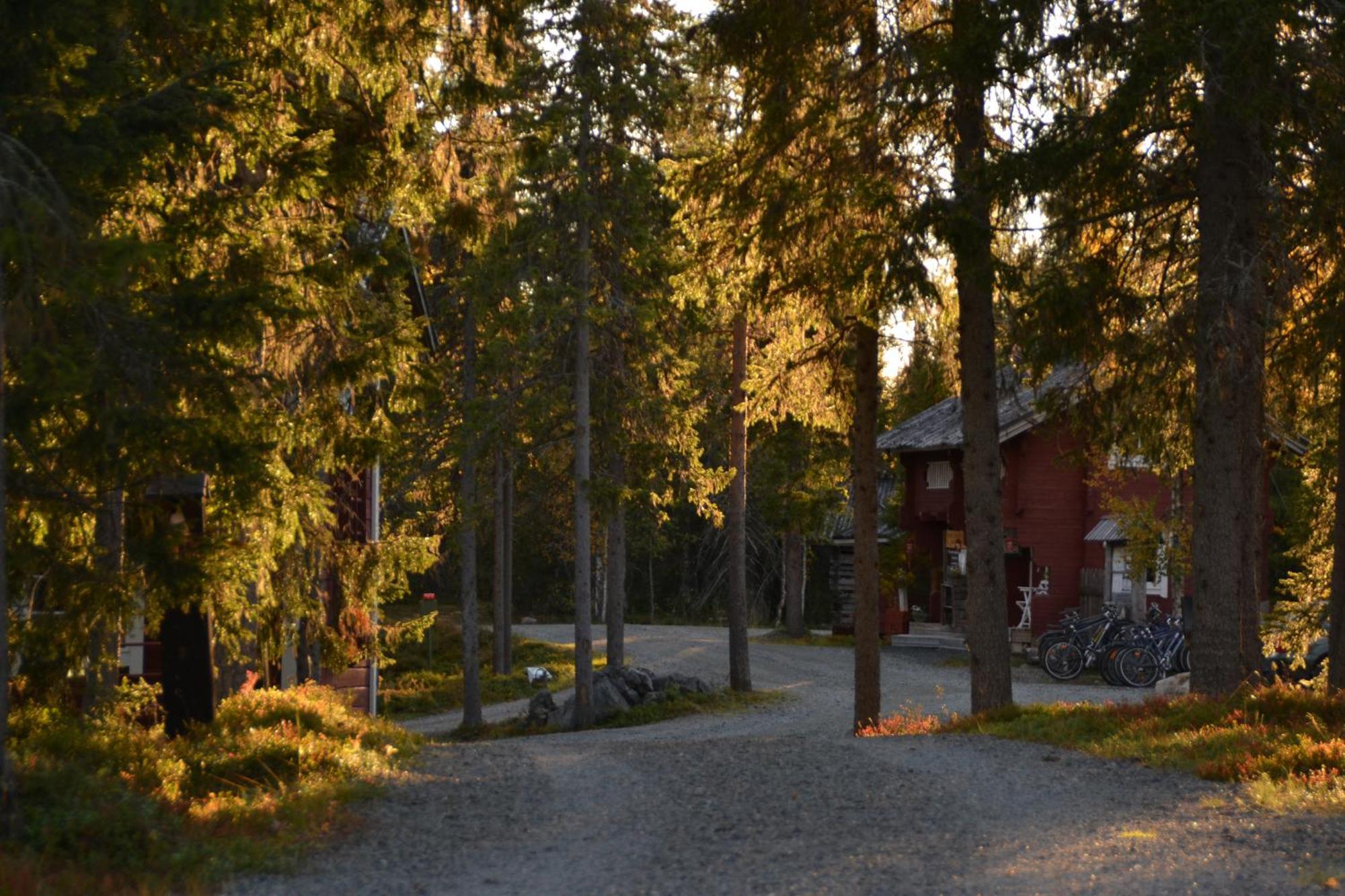 Wilderness Hotel Papin Talo รูกา ภายนอก รูปภาพ